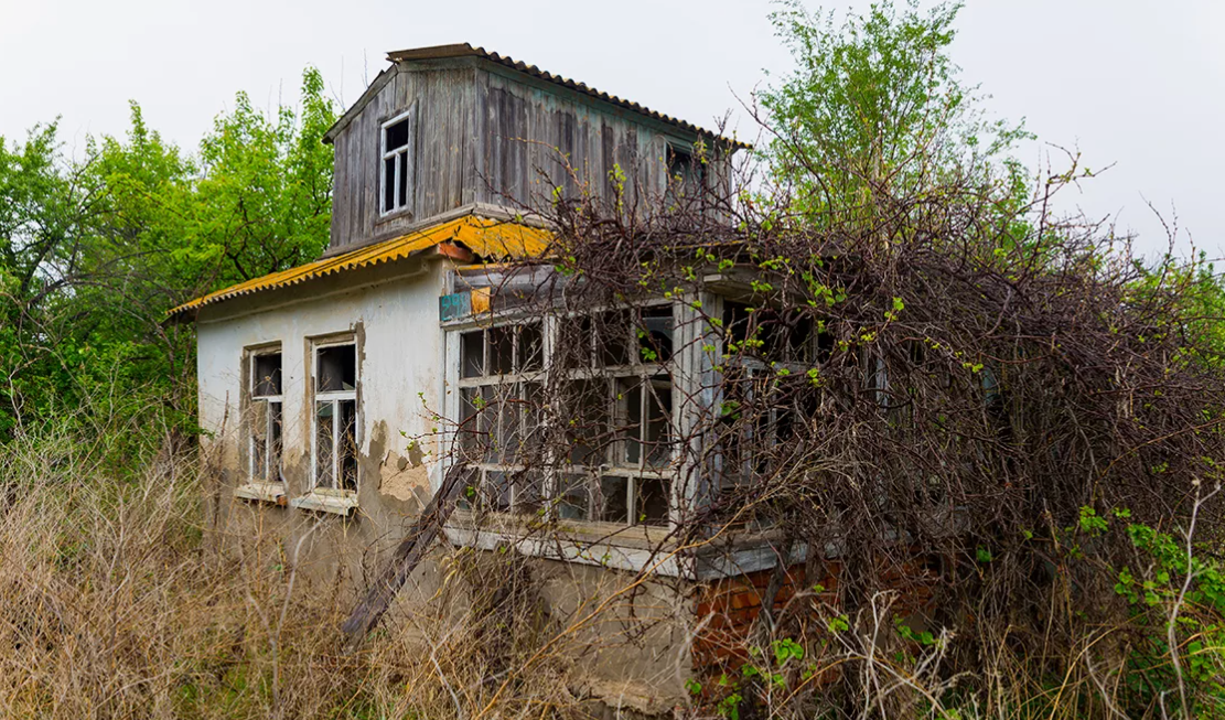 Фото из открытых источников 