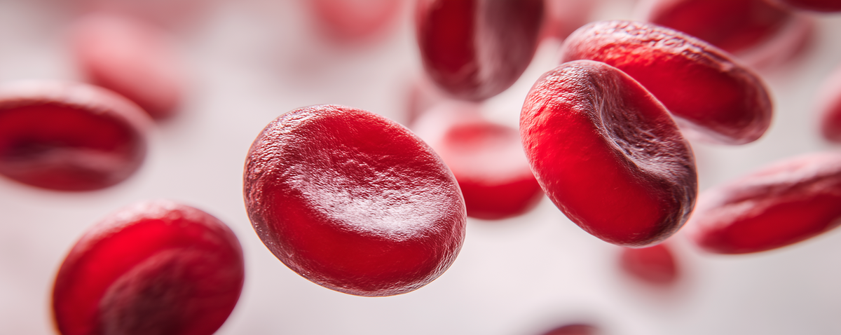 Эритроциты имеют форму диска, сплюснутого в центре. Изображение сгенерировано нейросетью.