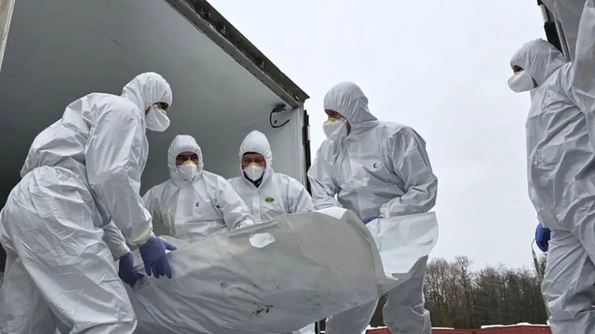    Обмен телами военнослужащих. © vr_medinskiy