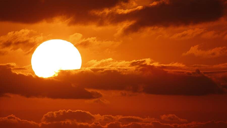    Фото: Global Look Press/KC Alfred