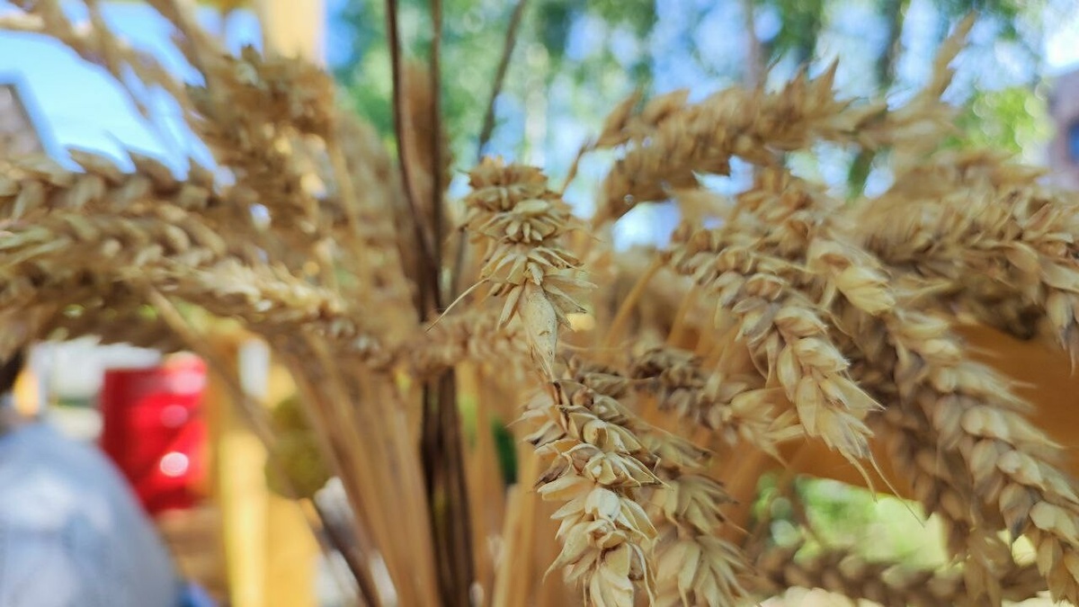     Фото: "МК в Питере"