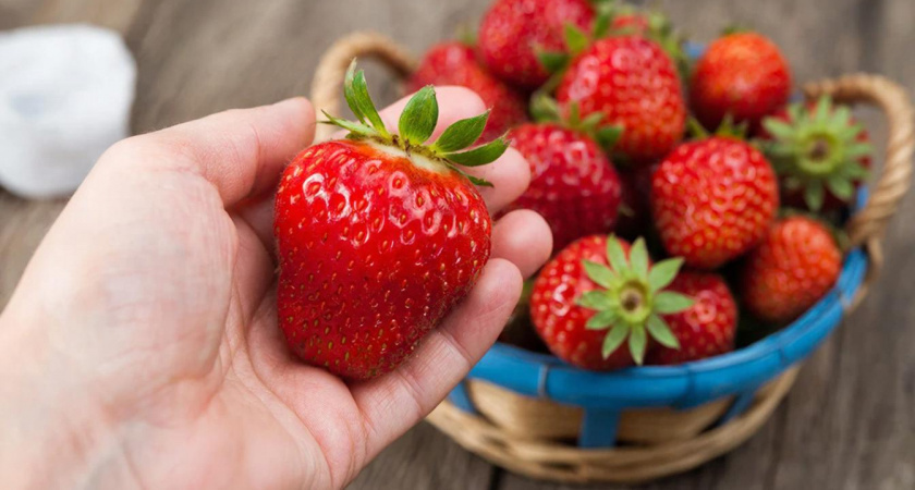    нейросеть shedevrum