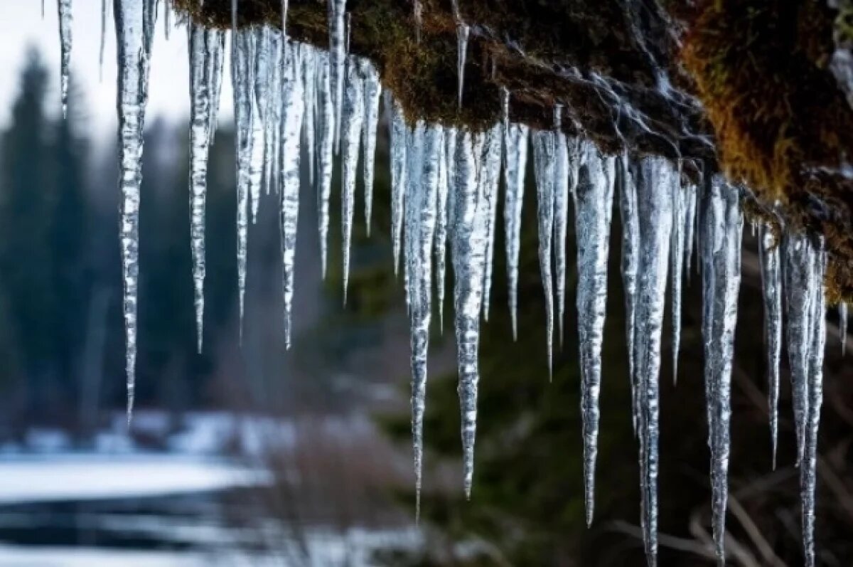    В Гусь-Хрустальном оштрафовали 17 компаний за неубранный снег