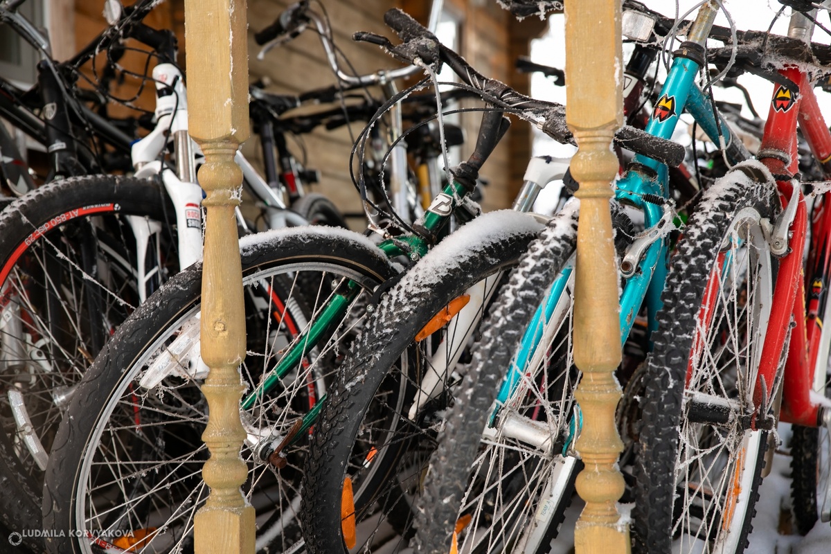    фото: © Столица на Онего