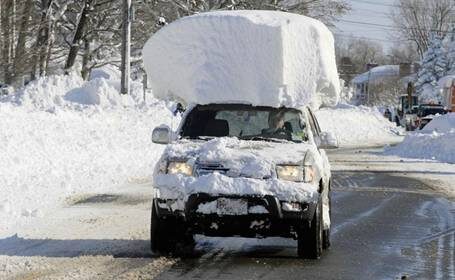 Подснежник