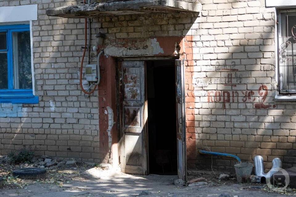    фото: Данил Савченко / "Городские вести"