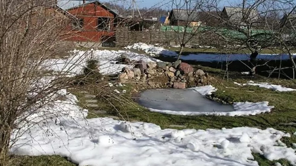 Что делать в саду в марте