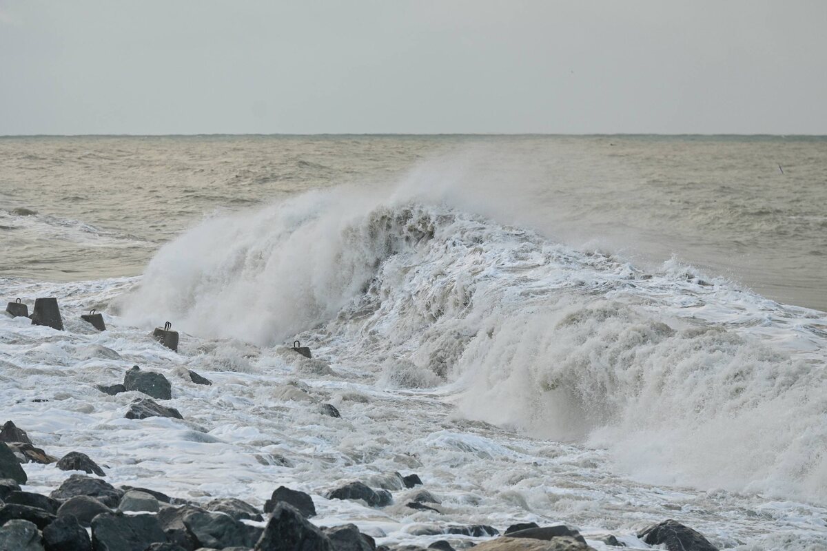    Фото: пресс-служба ФТ Сириус