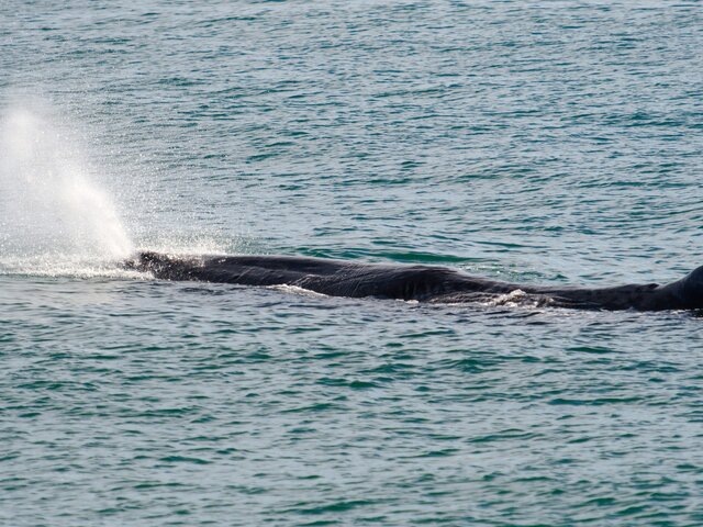    Фото: 123RF.com/emiddelkoop