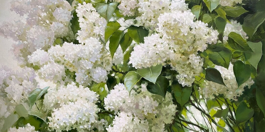 Белая сирень