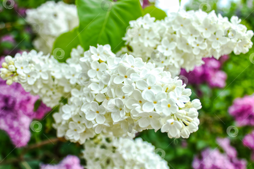 она знает, весна всегда возвращается