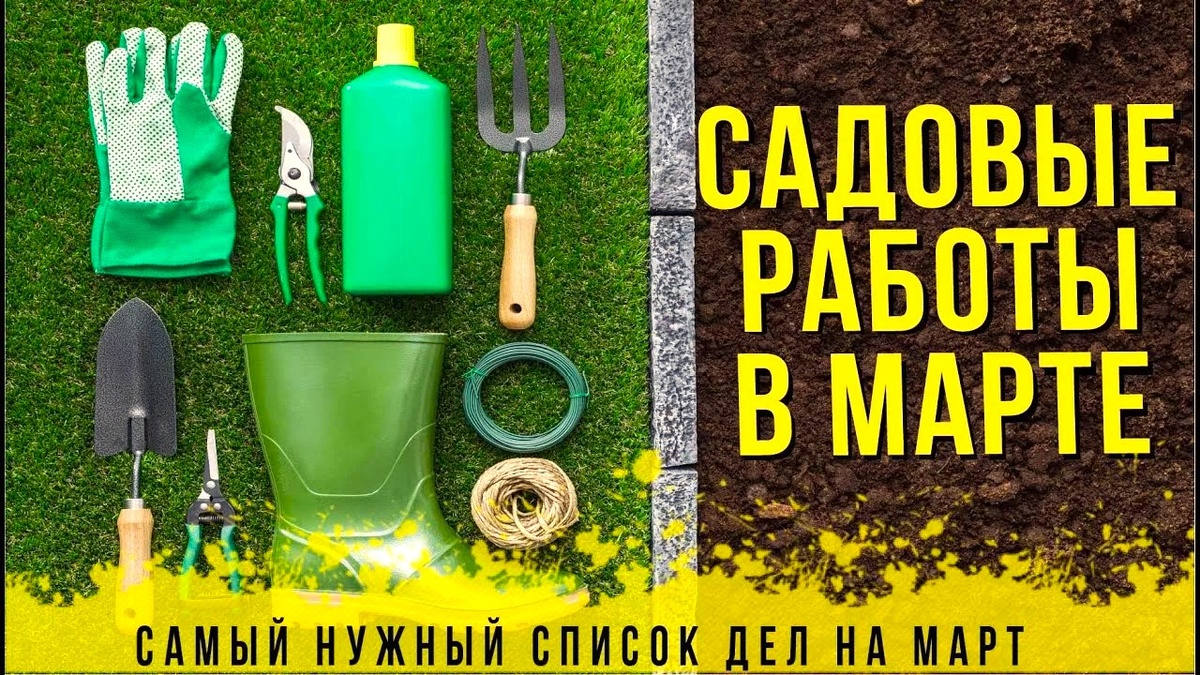 список дел март