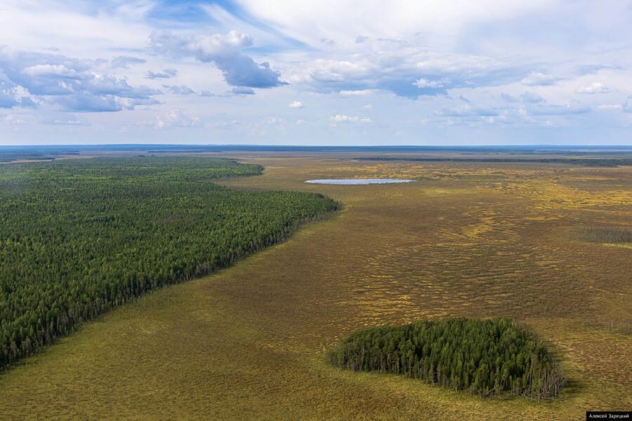 Фото: Алексей Зарецкий