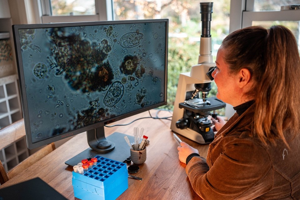    Термину микроб исполнилось 148 лет. Фото: William Edge/Shutterstock/Fotodom