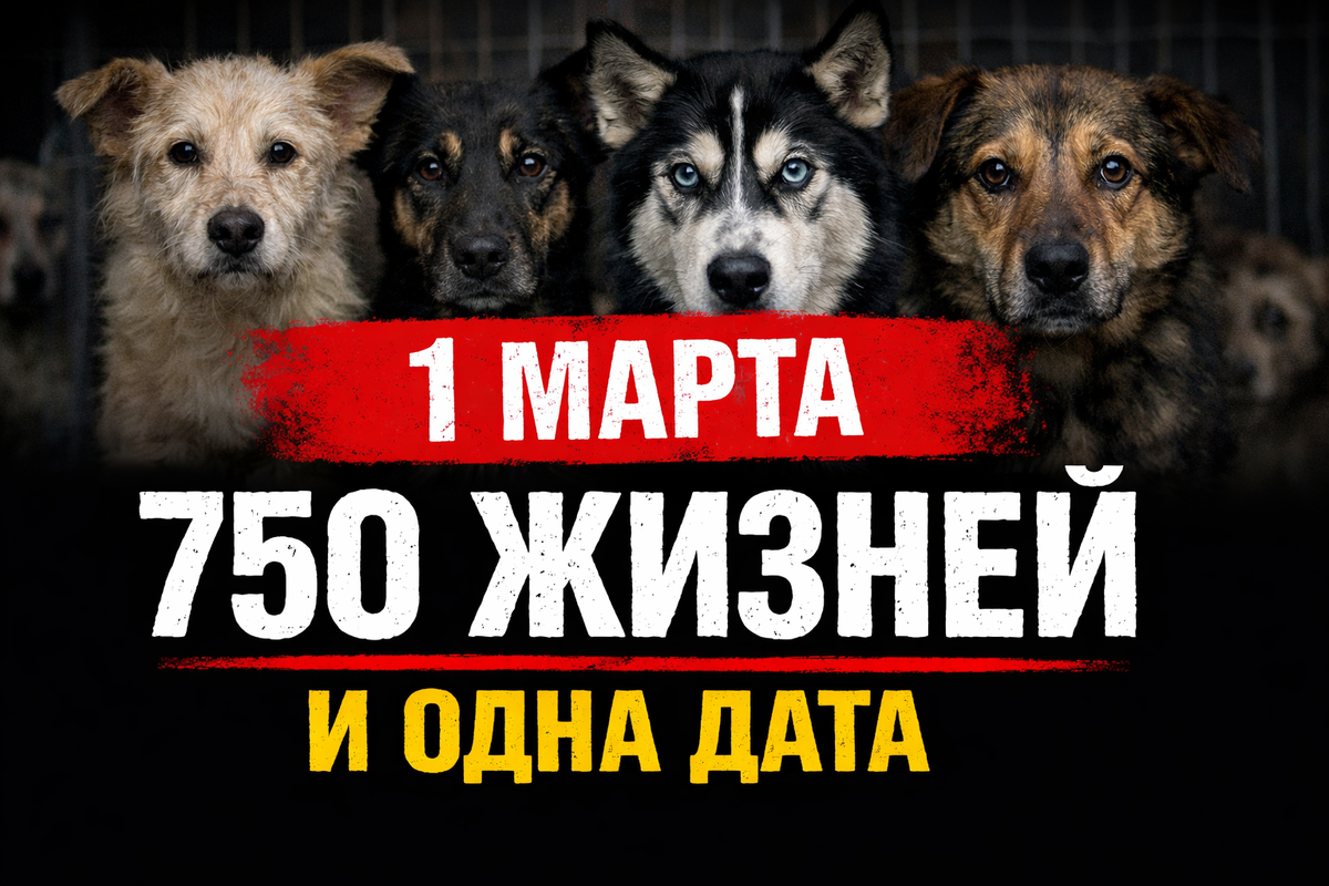 Фото носит иллюстрационный характер 