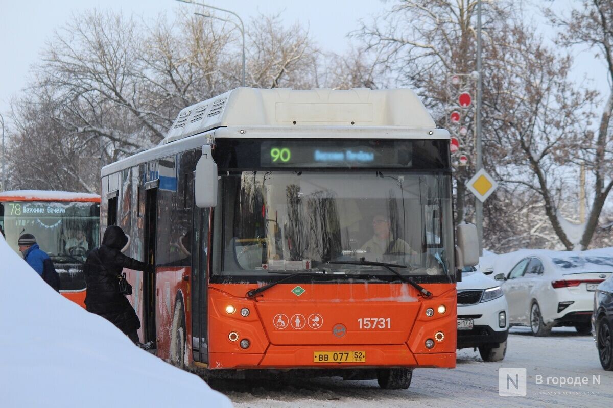    Фото: ИА «В городе N»