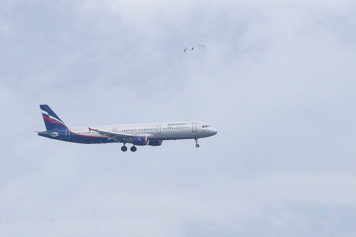    Фото: Global Look Press