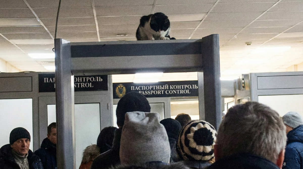 Я требую ваш паспорт! ЕЩЕ фото --->>