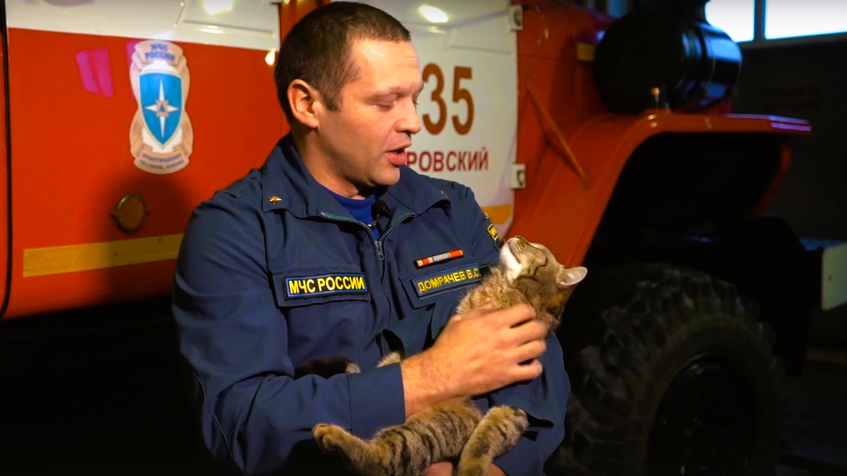 Семён не боялся громких звуков и сигналов, обожал спать на машинах и участвовал в построениях. ЕЩЕ фото --->>