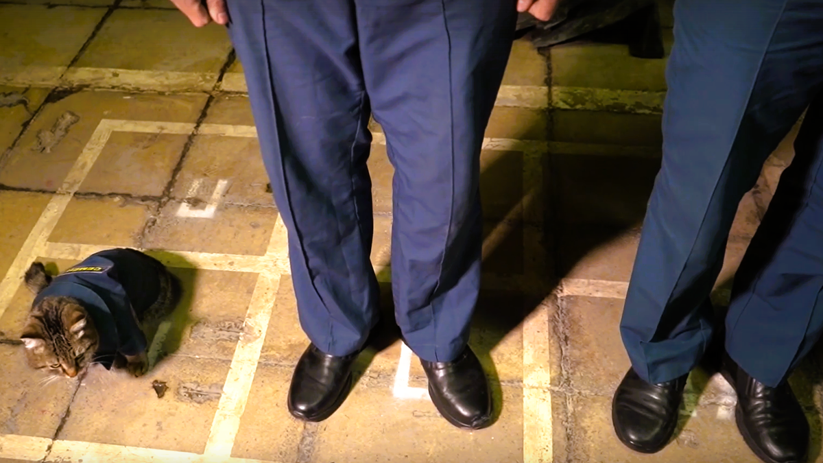 ЕЩЕ фото --->>