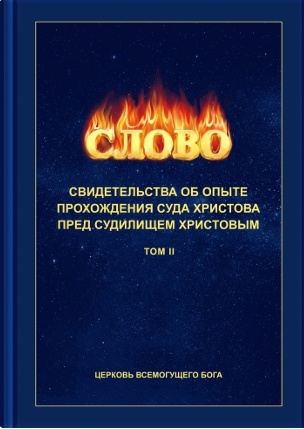 из книги «Свидетельства об опыте перед судилищем Христовым (TOM II )»