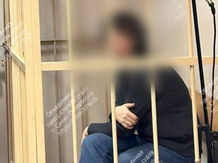     Вину она не признала и просила домашний арест. Фото: объединенная пресс-служба судов Петербурга