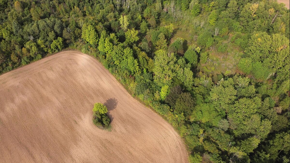    Фото: freepik.com/wirestock