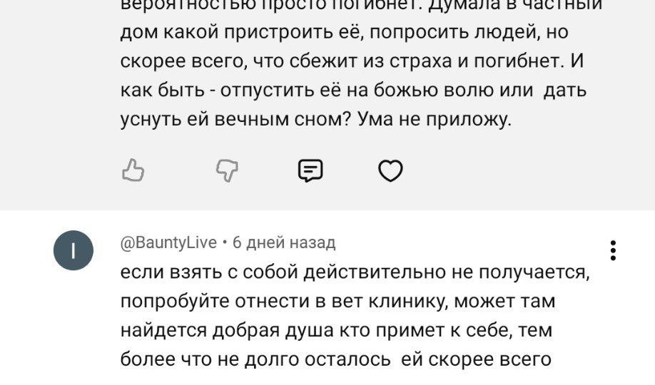 У кого то выбор всегда между выгнать на улицу и усыпить