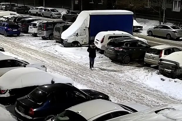    Фото: lenta.ru Николь Соколова