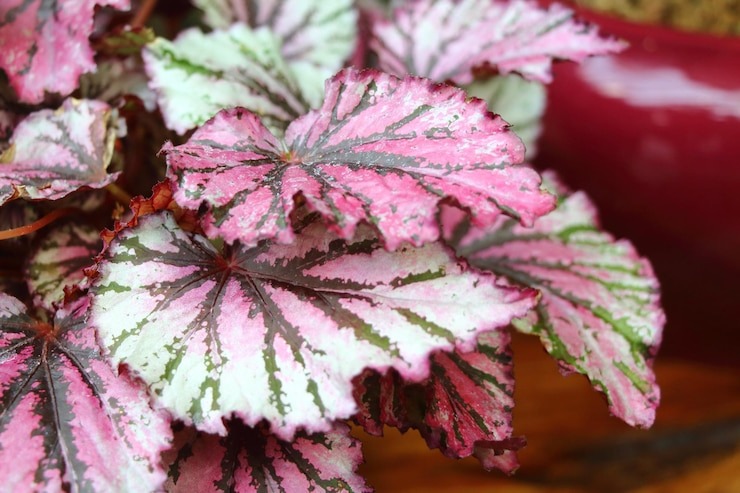 Источник фото: ru.freepik.com