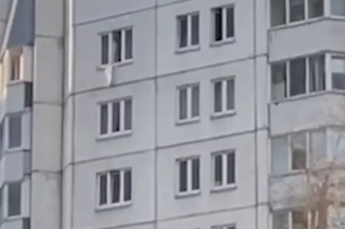    Появились кадры спасения выпавшего из окна 10-го этажа малыша в Петербурге