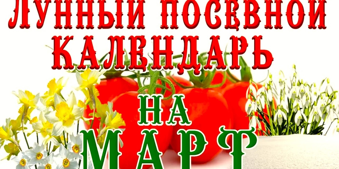 Лунный посевной календарь на март 2026: благоприятные дни для посадки и обрезки