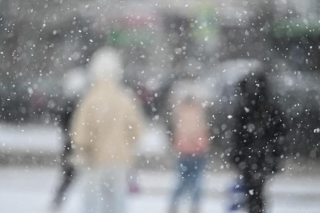 Фото: Сергей Елесин, ИА "Тюменская линия"