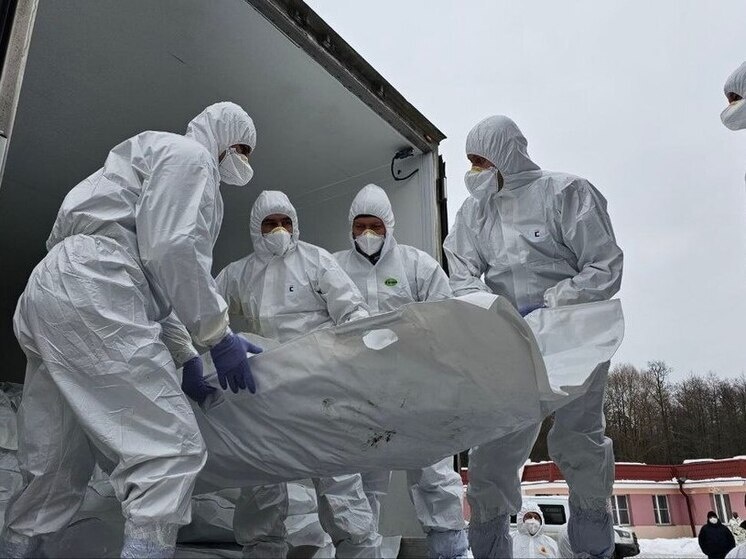     Фото: Телеграм-канал Владимира Мединского