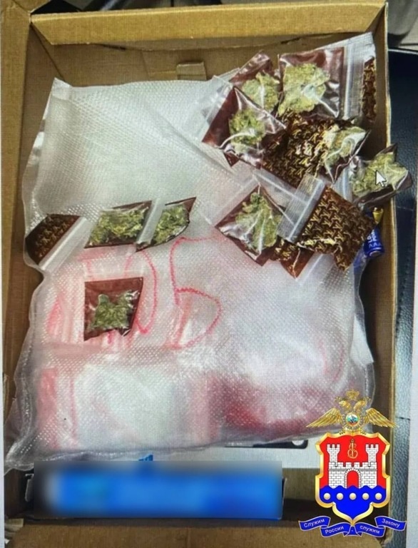 Фото: УМВД по Калининградской области Янтарный край  📷
