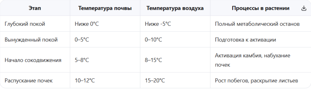 Ключевые этапы пробуждения