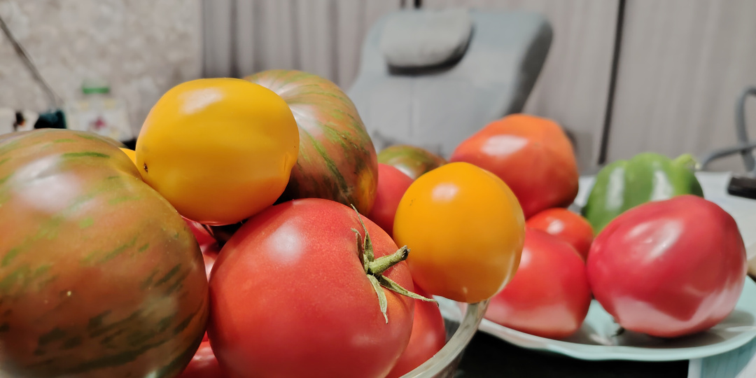 Когда сажать томаты на рассаду: главный секрет крепких сеянцев