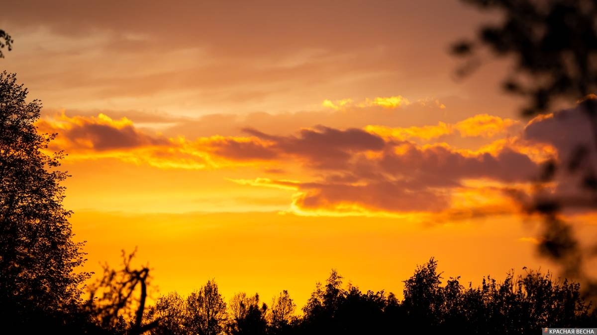     Ядерный закат   
Петр Данилов © ИА Красная Весна