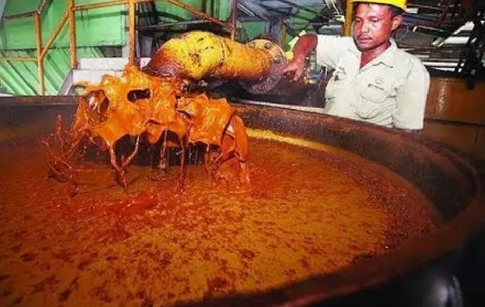 Производство (вываривание) пальмового масла (иллюстрация из открытых источников)