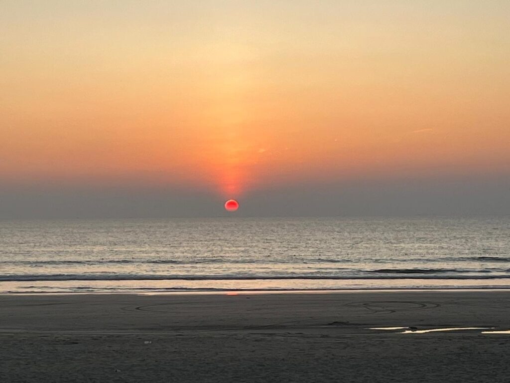    Фото: Главный региональный