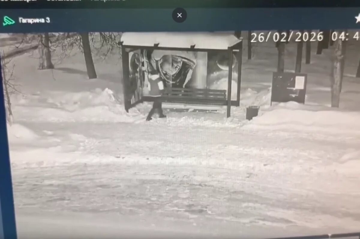    В Гагарине заметили орудующего вандала у общежития