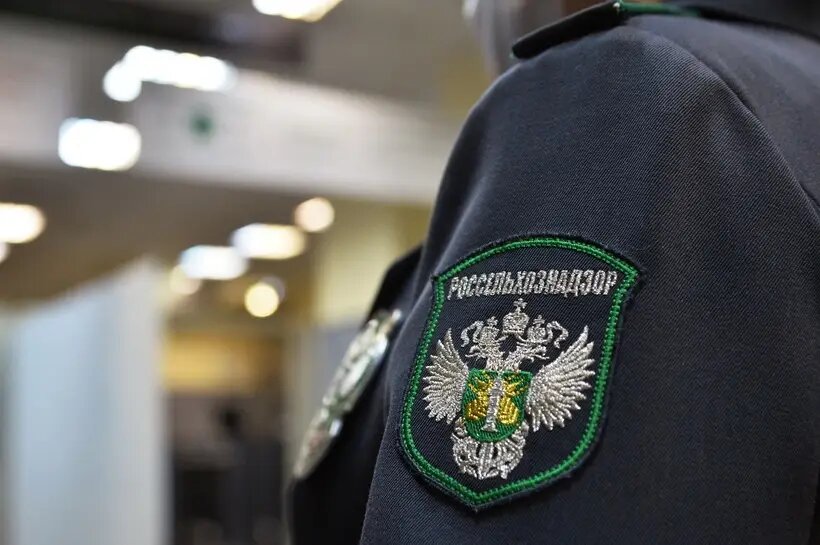     © РИА Новости. Александр Кондратюк