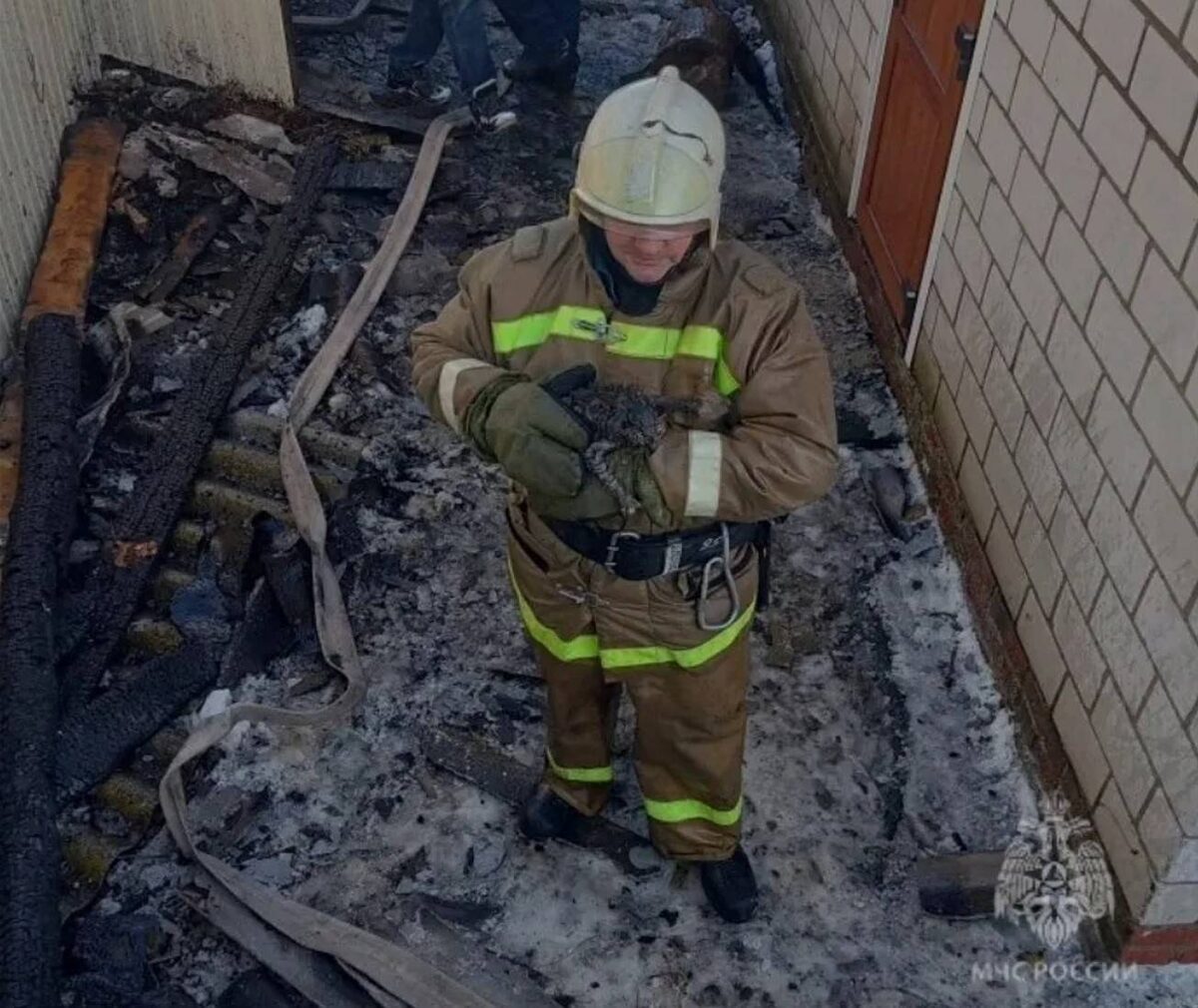 ГУ МЧС России по РТ