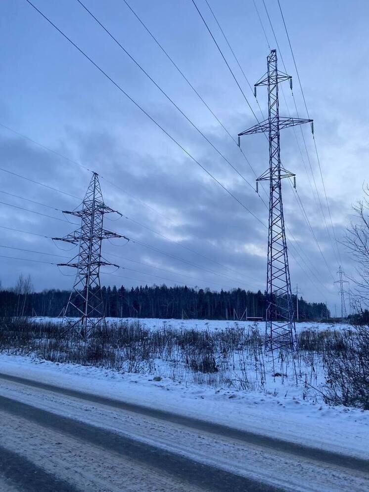   Елена Полякова