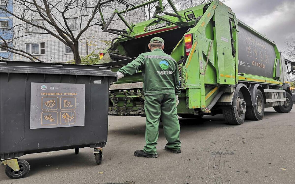    Черноземье за бортом мусорного контроля: 15 регионов в топе по чистоте контейнерных площадок, ЦЧР среди них нет фото: сайт РЭО