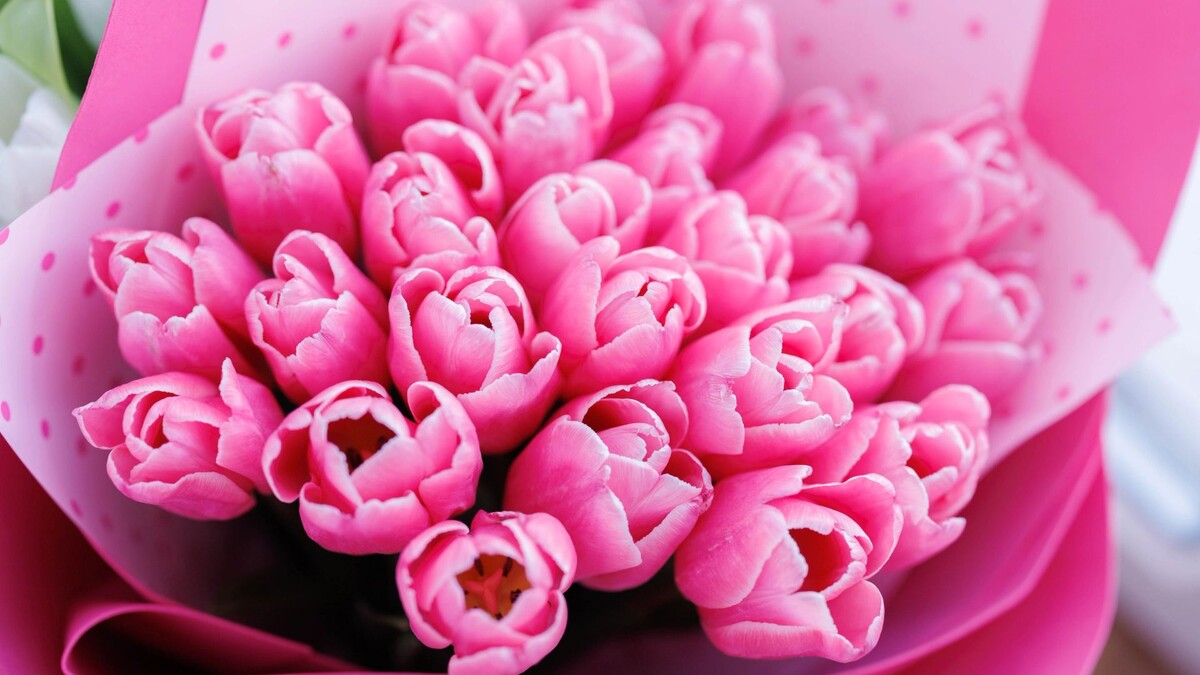    Фото: Юлия Чудинова /«Ямал-Медиа»