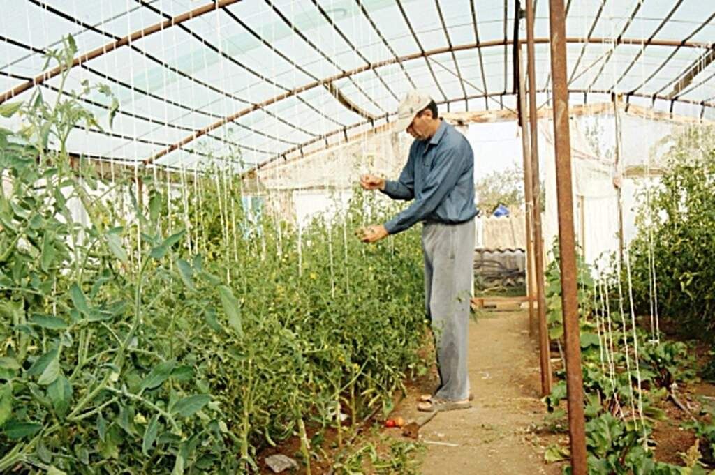    Иллюстрация фотобанка Ростовского отделения СЖР admin