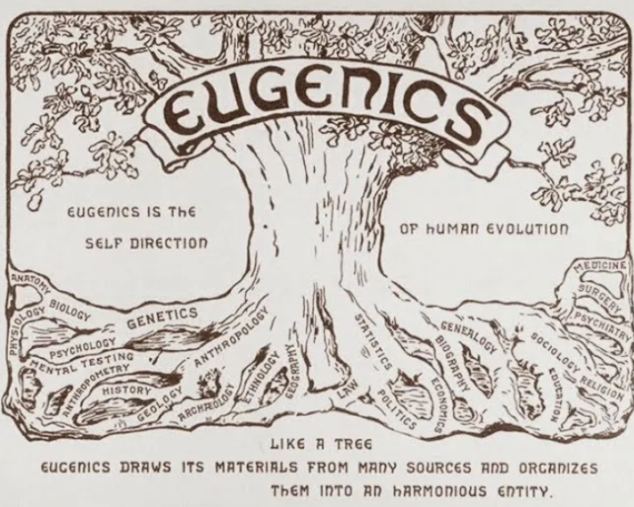 Логотип Второй международной конференции по евгенике, 1921 год. Текст внизу: «Подобно дереву, евгеника черпает материал из множества источников и организует его в гармоничное целое»