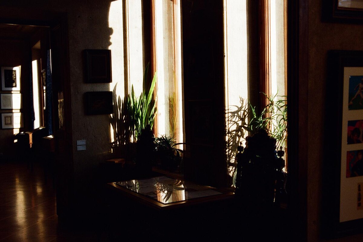 АНАСТАСИЯ СЕМЕНОВИЧ📷Музей-квартира Георгия Гурьянова