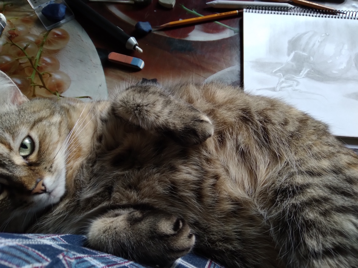 Полосатая муза внимательно следит за творческим процессом!